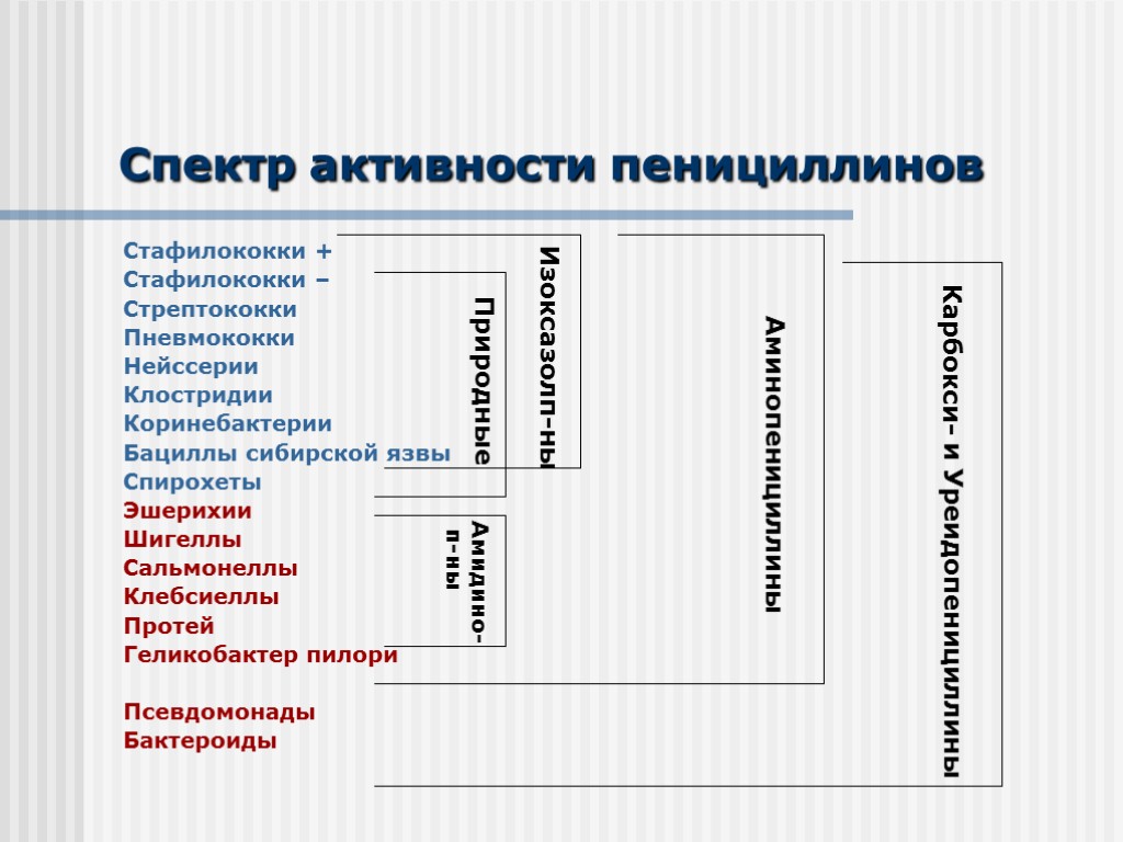 Спектр активности пенициллинов Стафилококки + Стафилококки – Стрептококки Пневмококки Нейссерии Клостридии Коринебактерии Бациллы сибирской